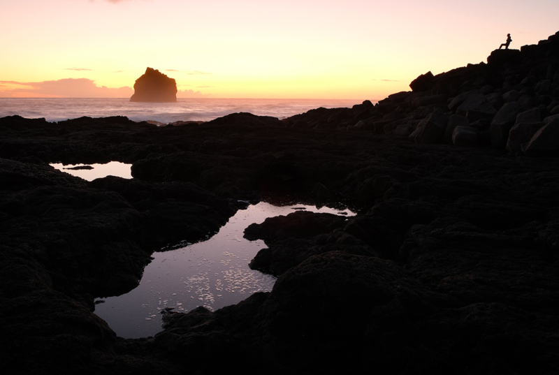 Island web (40)