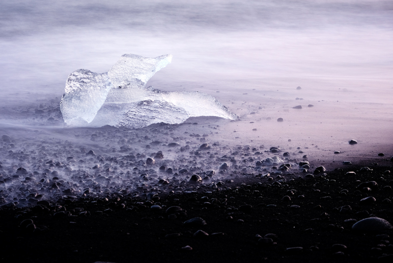 Island web (70)