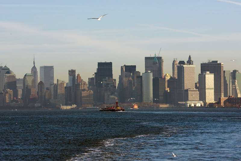 New York  (21)