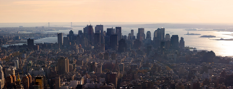 New York  (88)