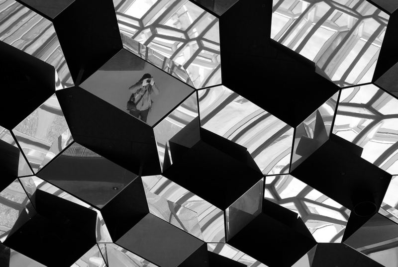 Island web (41)