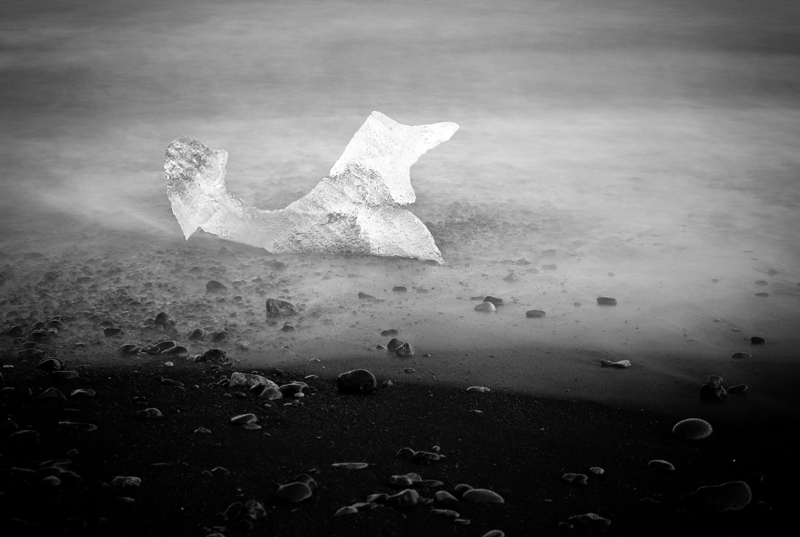Island web (68)