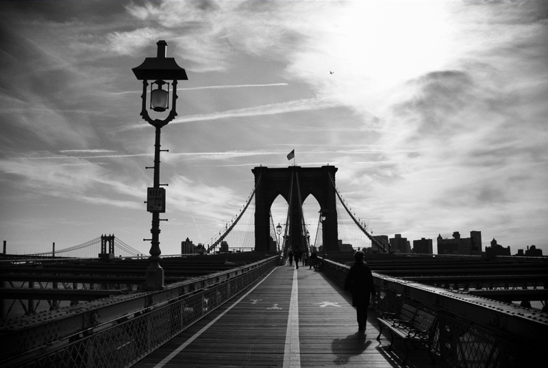 New York (6)